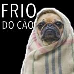 Boa Tarde
