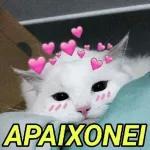 apaixonado