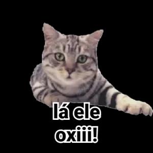 81JUXY