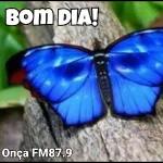 Araújo