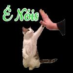 F do ivanio 