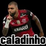 Gabigol ⚽️