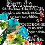 eu quero os pacotes de figurin