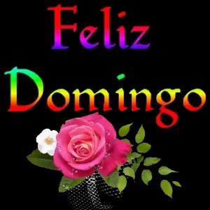 Feliz Domingo - getsticker.com