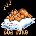 Bom dia boa noite