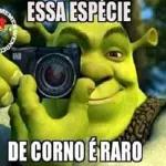 34jdhjddh