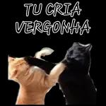 a culpa e sua 