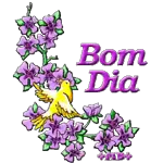 Momentos de magia 🌟💫