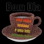 segunda feira 