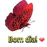 bundinha 