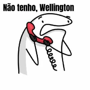 w3z4g8