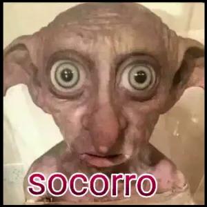 bxPSXp