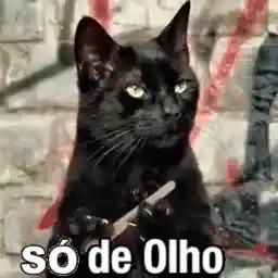Estou aqui, só observando
