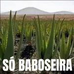 vai lavar louça homem