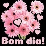 Receba
mrcing
meu Abraço