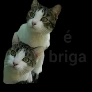 DJQLxE