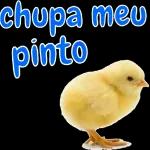 gostoso 