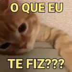 O que eu te fiz??