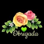 Boa Noite