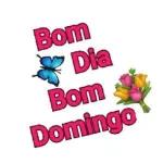 domingo 