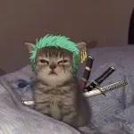 zoro