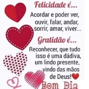 Felicidade é... Acordar e poder ver, ouvir, falar, andar, sorrir, amar, viver... Gratidão é... Reconhecer, que tudo isso é uma dádiva, um lindo presente, vindo das mãos de Deus! Bom Dia - getsticker.com
