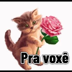 xrtsH9