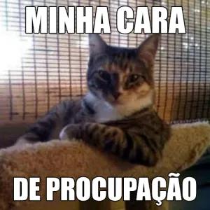 MINHA CARA DE PROCUPAÇÃO - getsticker.com