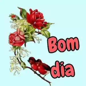 A9DzXf