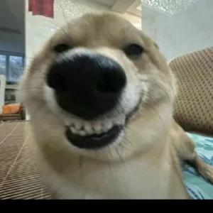 LtsqVF
