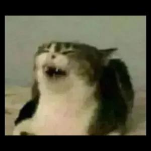 JiGOhZ