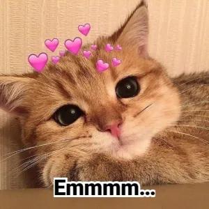 Emmmm... - getsticker.com