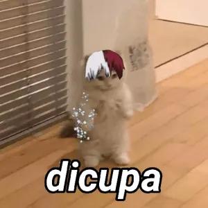 ppd2o8s