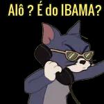 dona