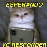 grupos