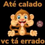 pacotes