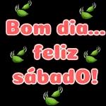 figurinha novo6