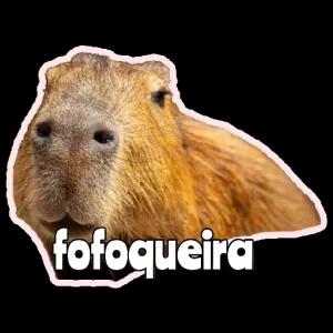 fofoqueira - getsticker.com