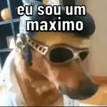 só animais 😂