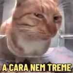 Grupo da família