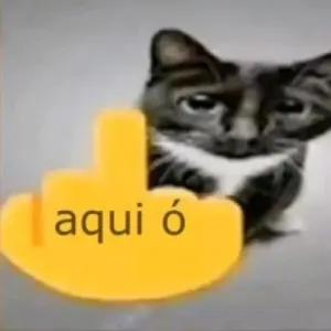 ZKDLjz