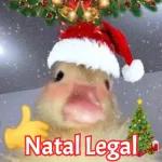 Natal, lá vou eu!!🏍️