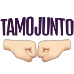FLAMENGUISTA