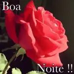 boa noite