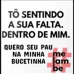 safadinha 