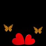 Bom Dia Na Presença de Deus