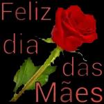 feliz das mães