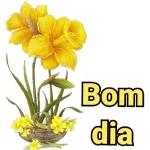 figurinhas