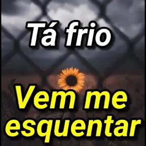 ZPJDxT
