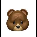 urso